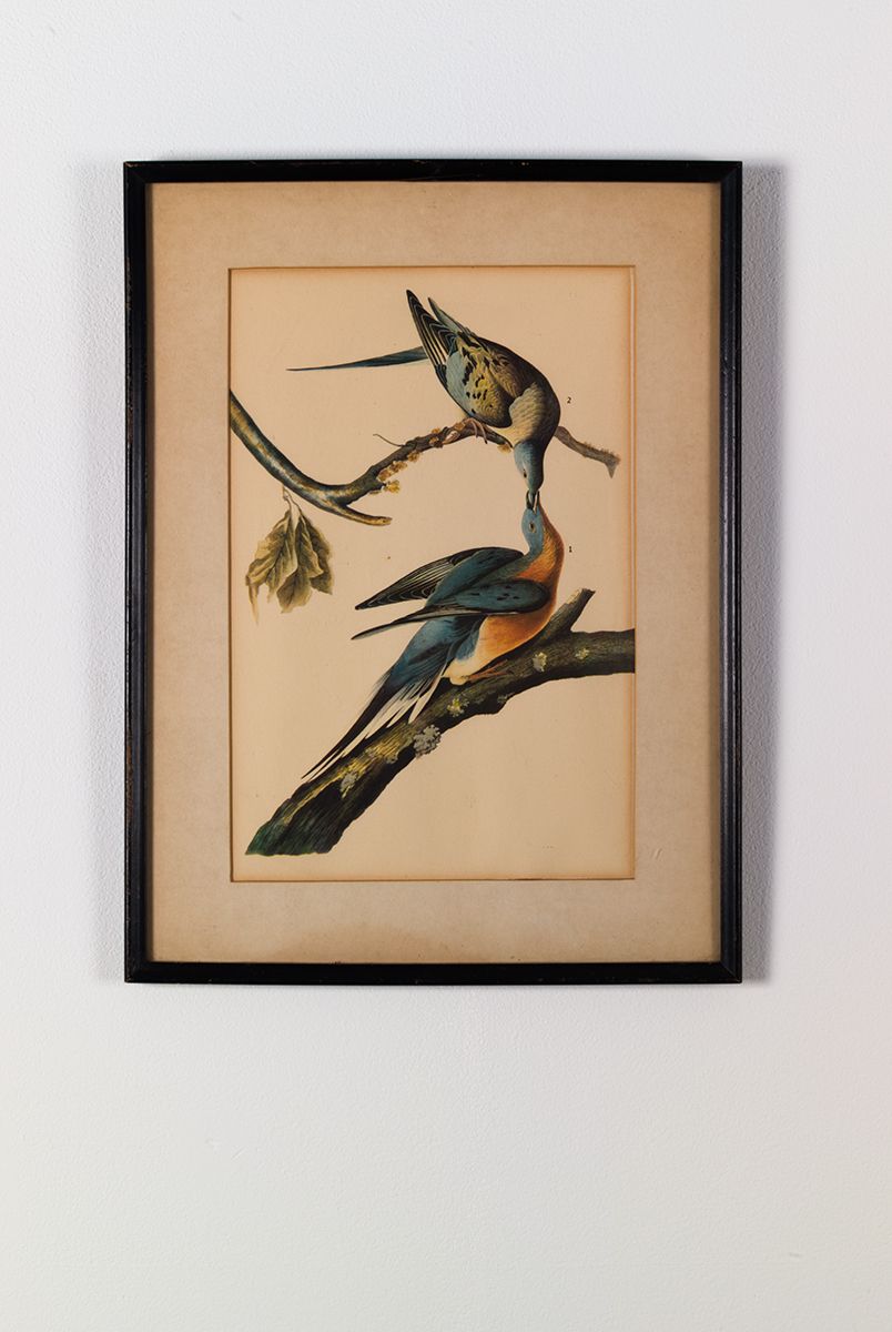 Gedi Sibony, Migratorius, 2013, Matted artwork in frame, 14 x 10 1/2 inches (35.6 x 26.7 cm)