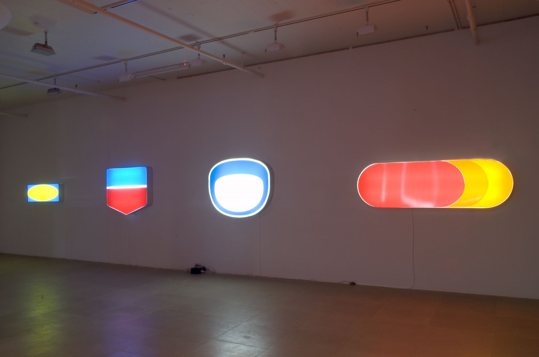 Installation view, Epileptic Seizure Comparison, Greene Naftali, New York, 2007