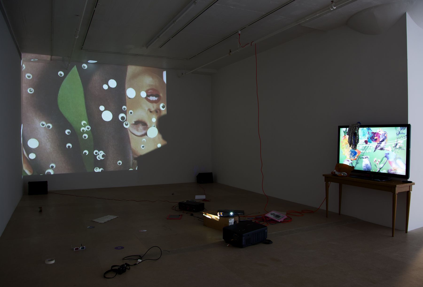 Trisha Baga, Peacock, 2011, Video installation, Dimensions variable