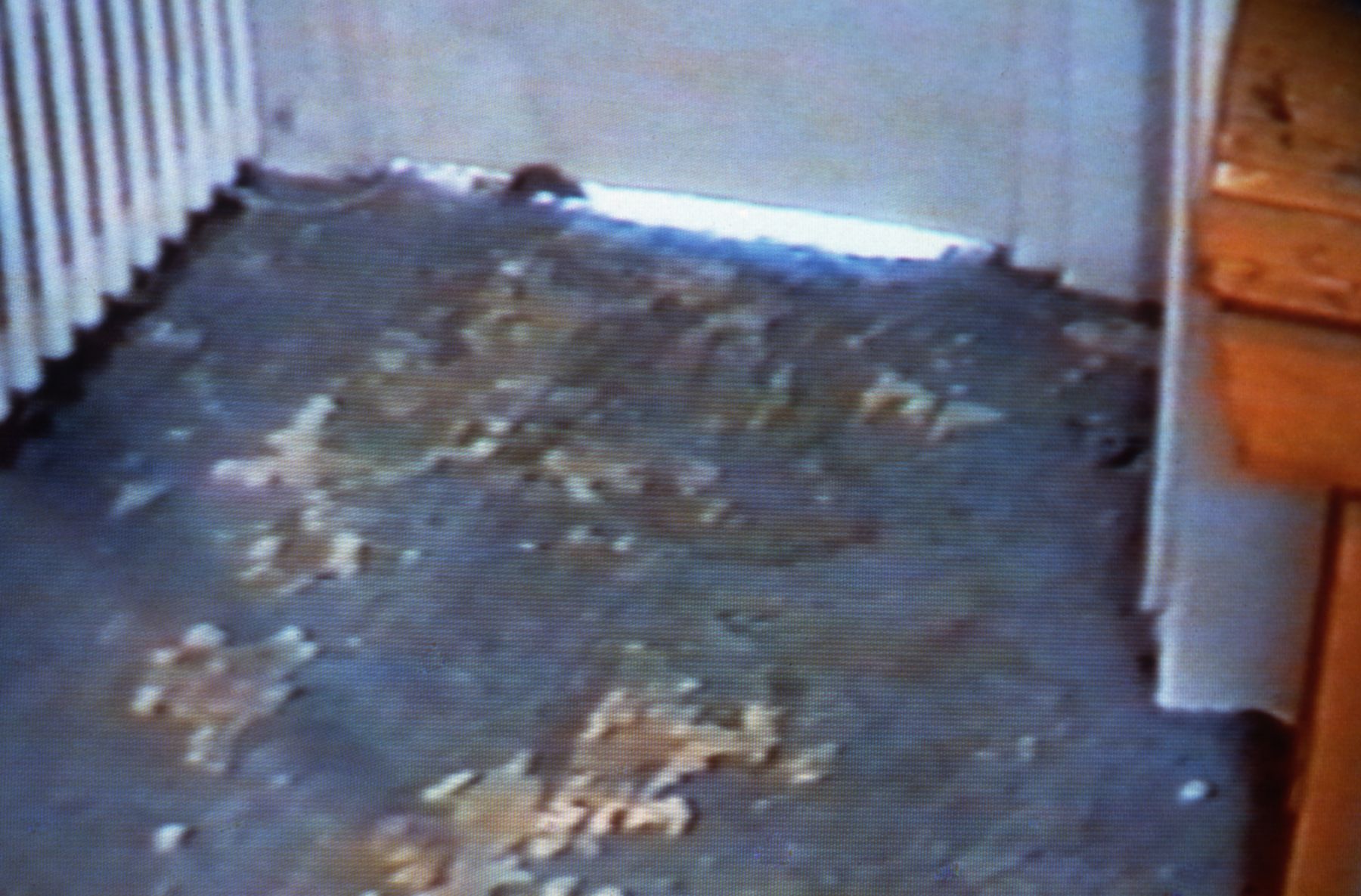 Lucy Gunning, Mouse Running Round Kitchen, 1993 (still), VHS video, 45:00 min