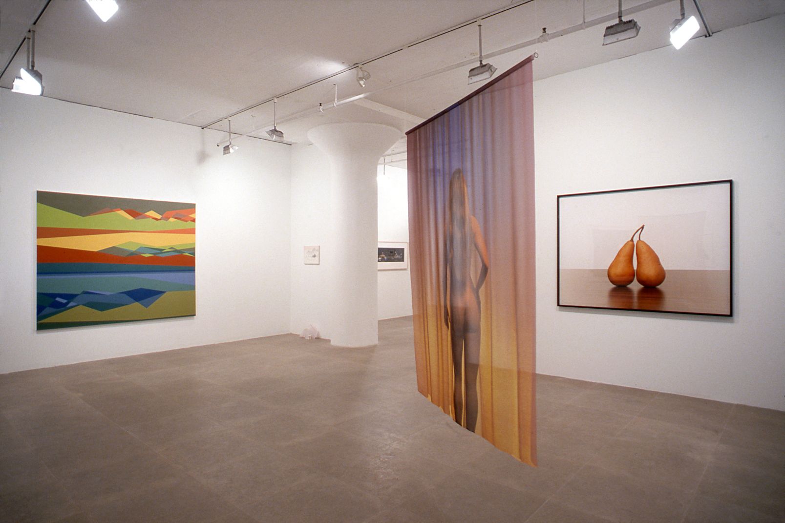 Installation view, Pictures Greene Naftali, New York, 2002