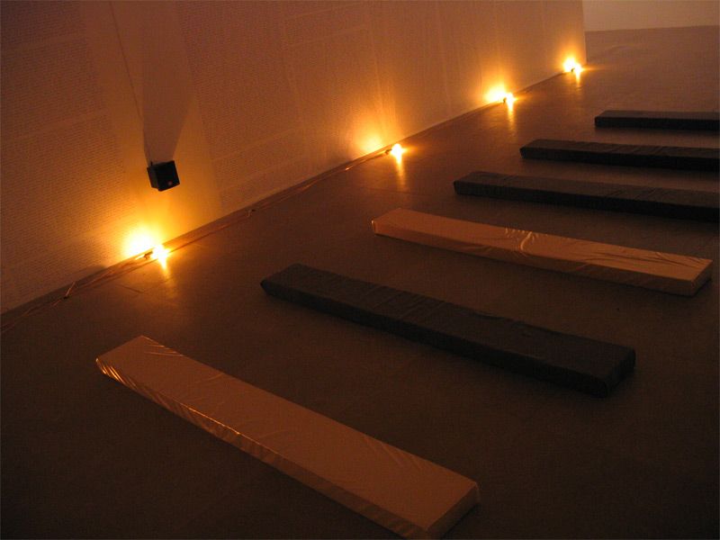 Installation view, Fia Backström, In Memory of HERD INSTINCT 360º, Greene Naftali, New York, 2006