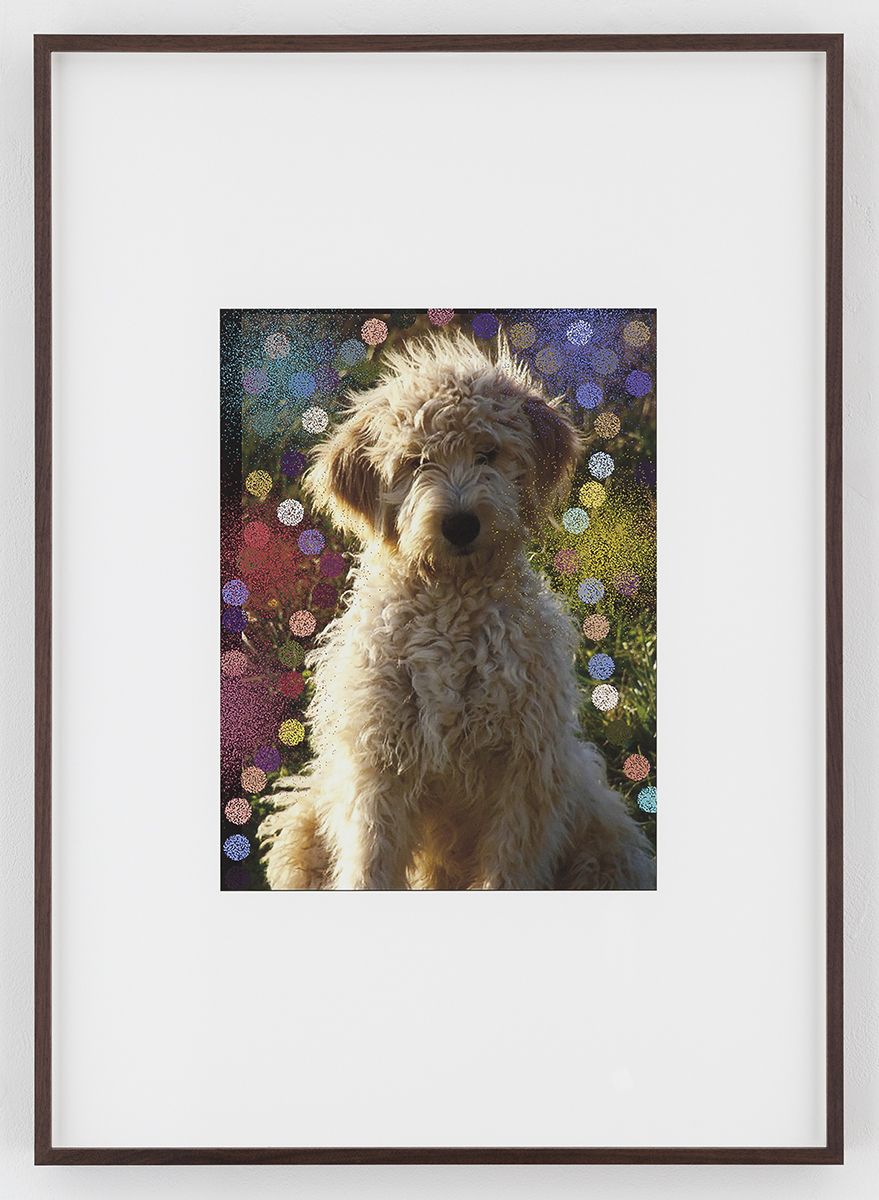 Hilary Lloyd Sun Dog, 2017 Archival pigment print Framed: 33 3/4 x 24 x 1 7/8 inches (857 x 61 x 4.8 cm) Unique