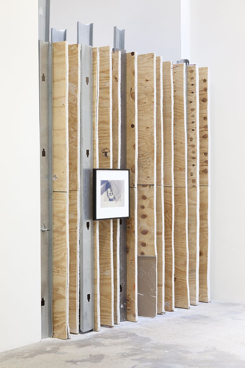 Rachel Harrison, Marilyn with Wall, 2017