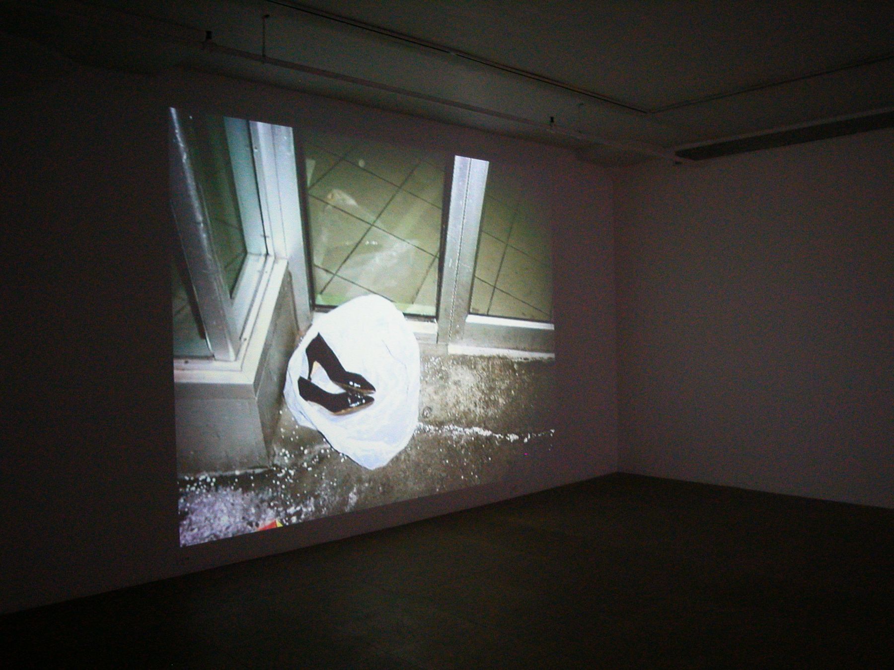 Paul Chan, Tin Drum Trilogy (Screening), Greene Naftali, New York, 2006