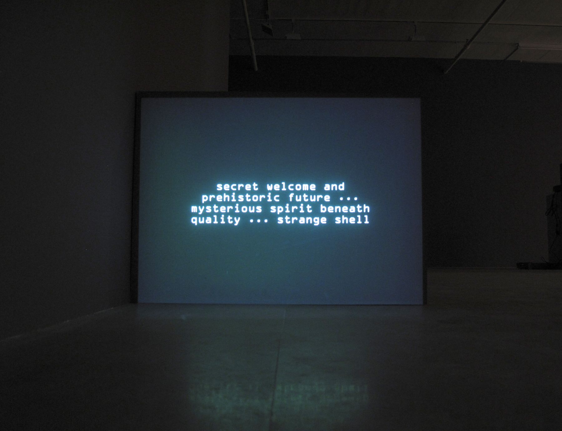Numerous Incidents of Indefinite Outcome, 2007, Computer generated text, Indefinite duration, Installation view, Greene Naftali, New York, 2010