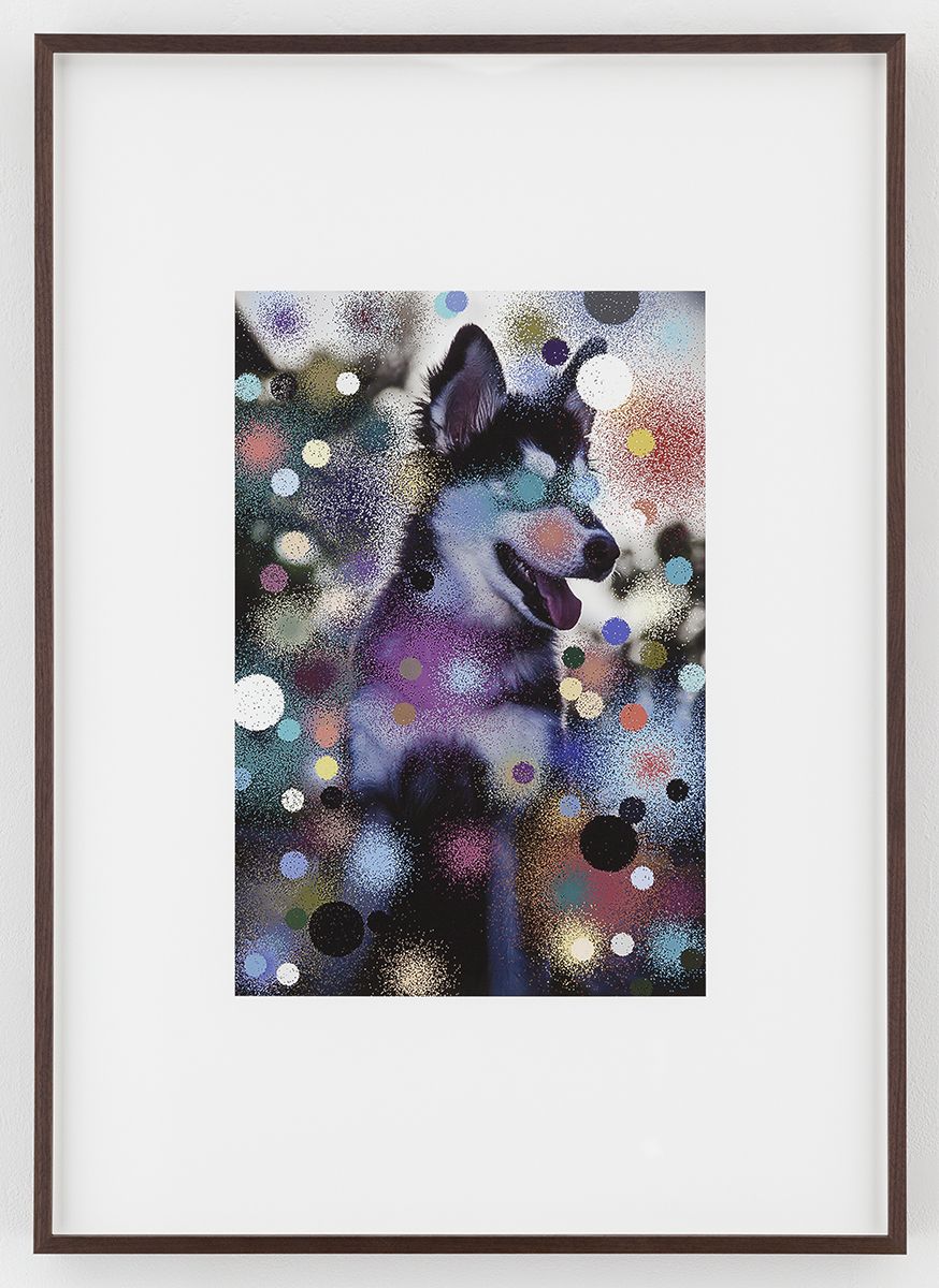 Hilary Lloyd Manhattan Dog, 2017 Archival pigment print Framed: 33 3/4 x 24 x 1 7/8 inches (85.7 x 61 x 4.8 cm) Unique