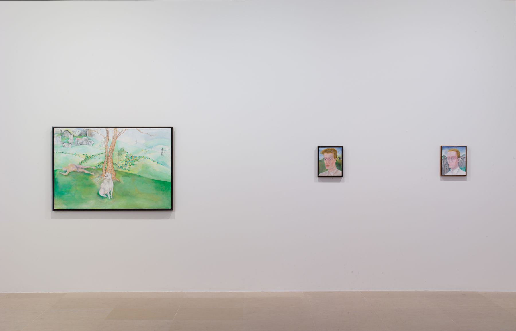 Katharina Wulff, Installation view, Wanwizzi, Greene Naftali, New York, 2010