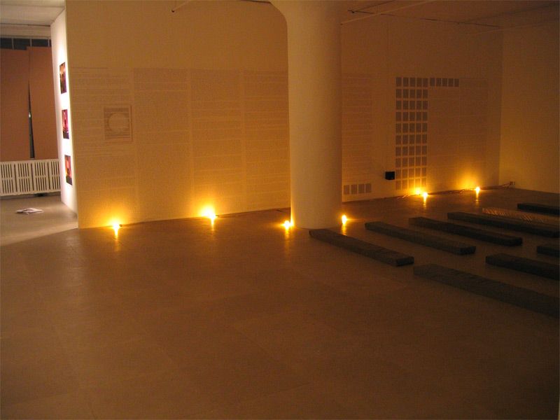 Installation view, Fia Backström, In Memory of HERD INSTINCT 360º, Greene Naftali, New York, 2006