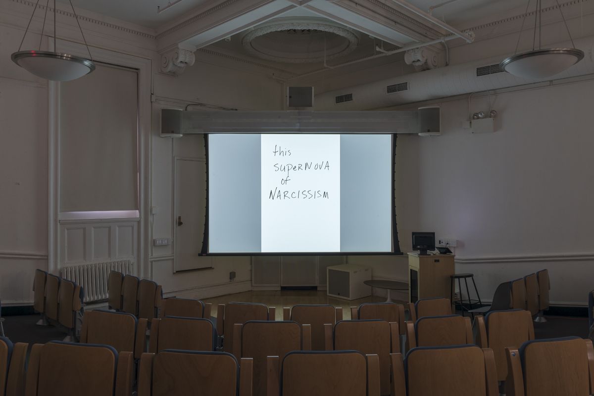 Lutz Bacher, Installation View, The Long March, 80WSE, New York, 2018