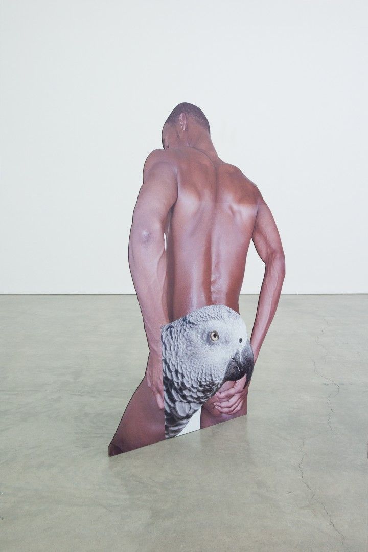 Innate Disposition 1, 2012 digital print plastic cutout displays 180 x 160 x 80 cm