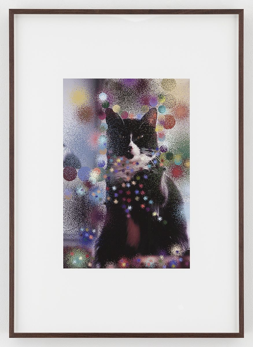 Hilary Lloyd Sailor Cat, 2017 Archival pigment print Framed: 33 3/4 x 24 x 1 7/8 inches (85.7 x 61 x 4.8 cm) Unique