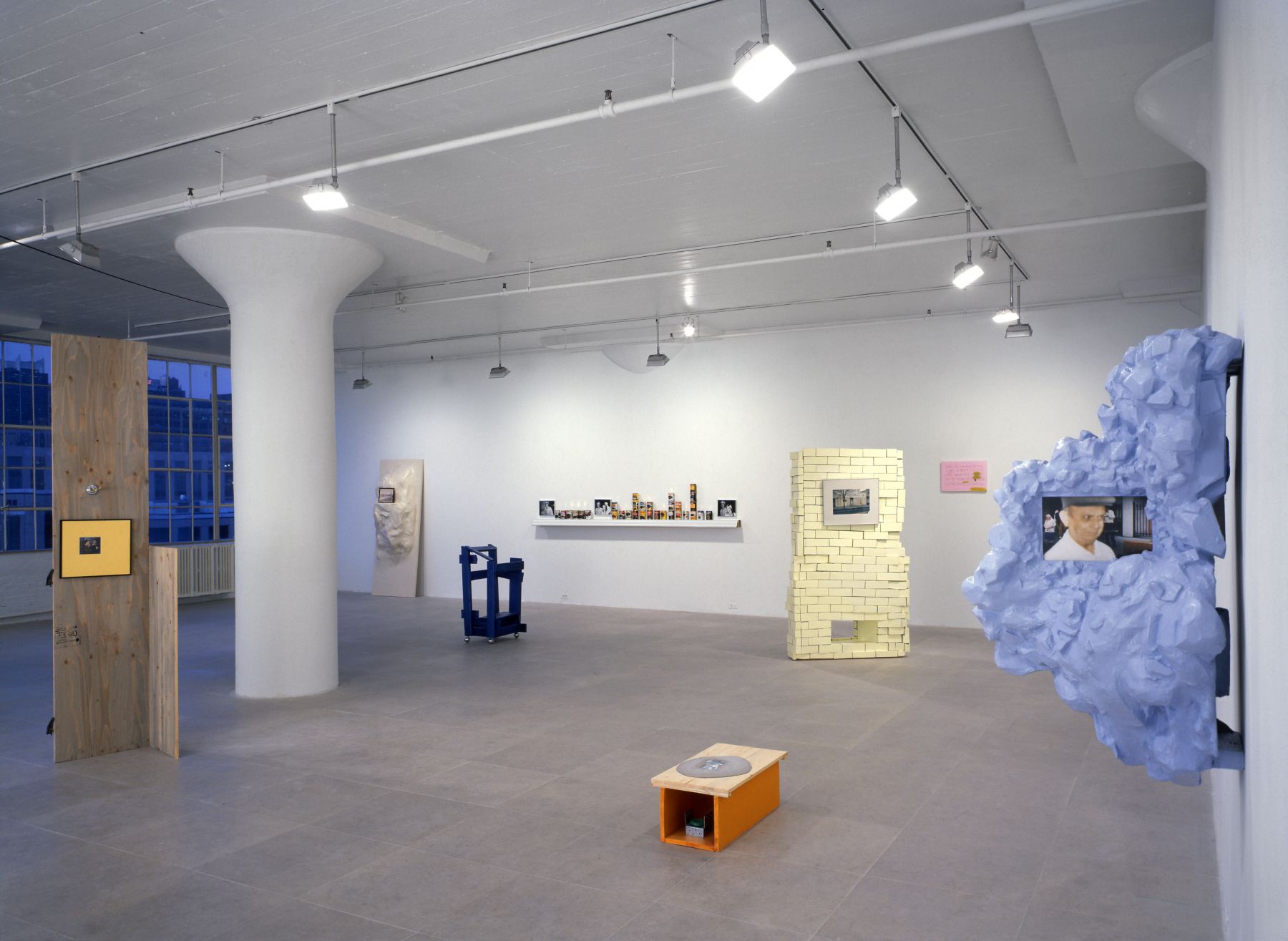 Installation view, Rachel Harrison, Greene Naftali, New York, 1997
