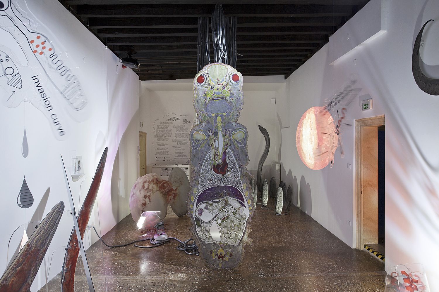 Katja Novitskova, Installation view, If Only You Could See What I’ve Seen With Your Eyes, 57th Venice Biennale, Estonian Pavilion, Venice, 2017