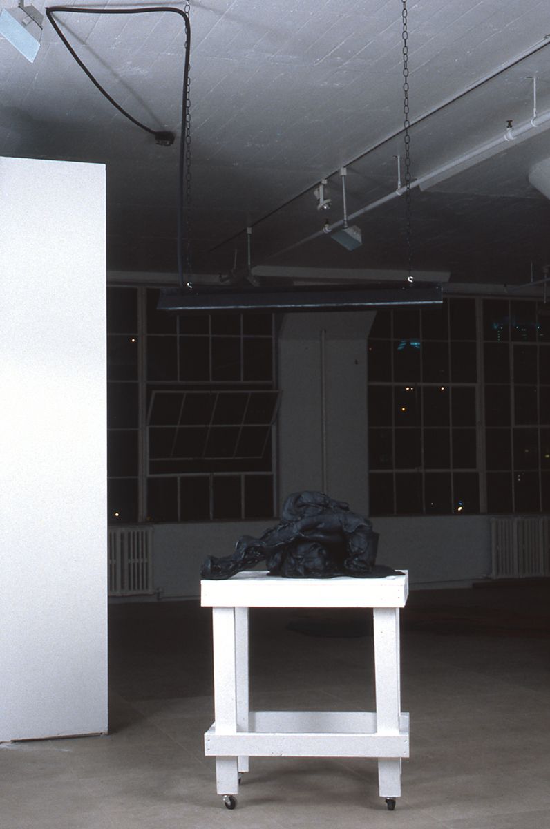 Jeanne Silverthorne, Untitled, 1995, rubber, resin and wood dimensions variable