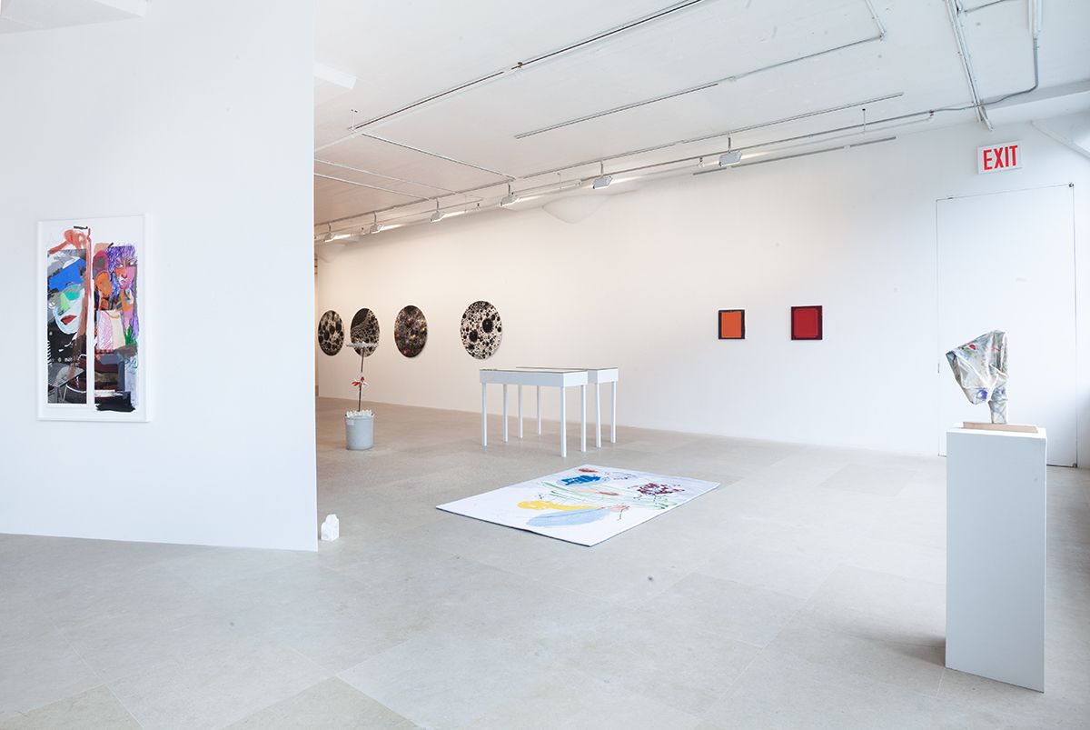 Installation view, FREAK OUT, Greene Naftali, New York, 2013