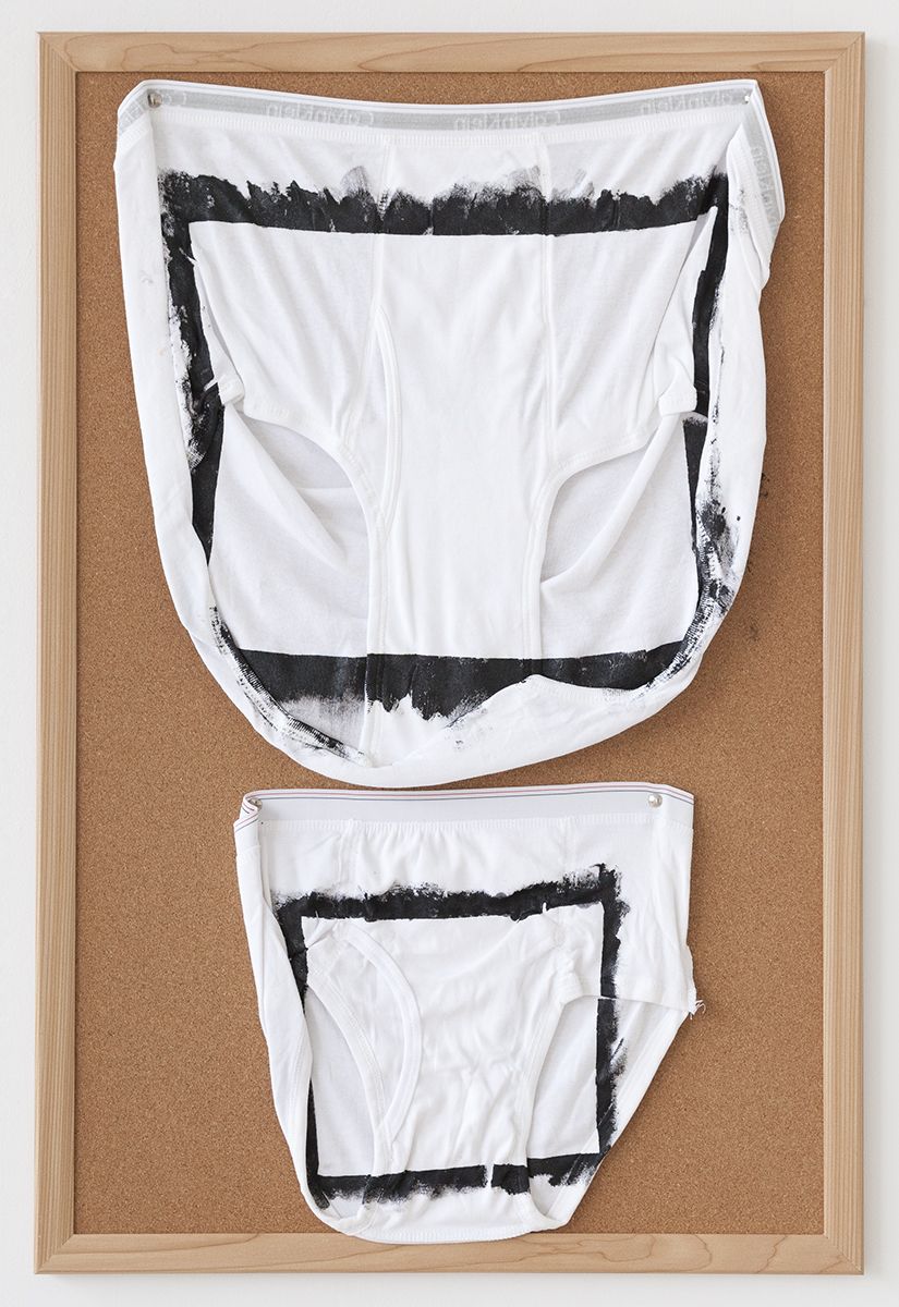 Tony Conrad Untitled (absolution), 2009 Acrylic, underwear, bulletin board 36 x 24 inches (91.4 x 61 cm)