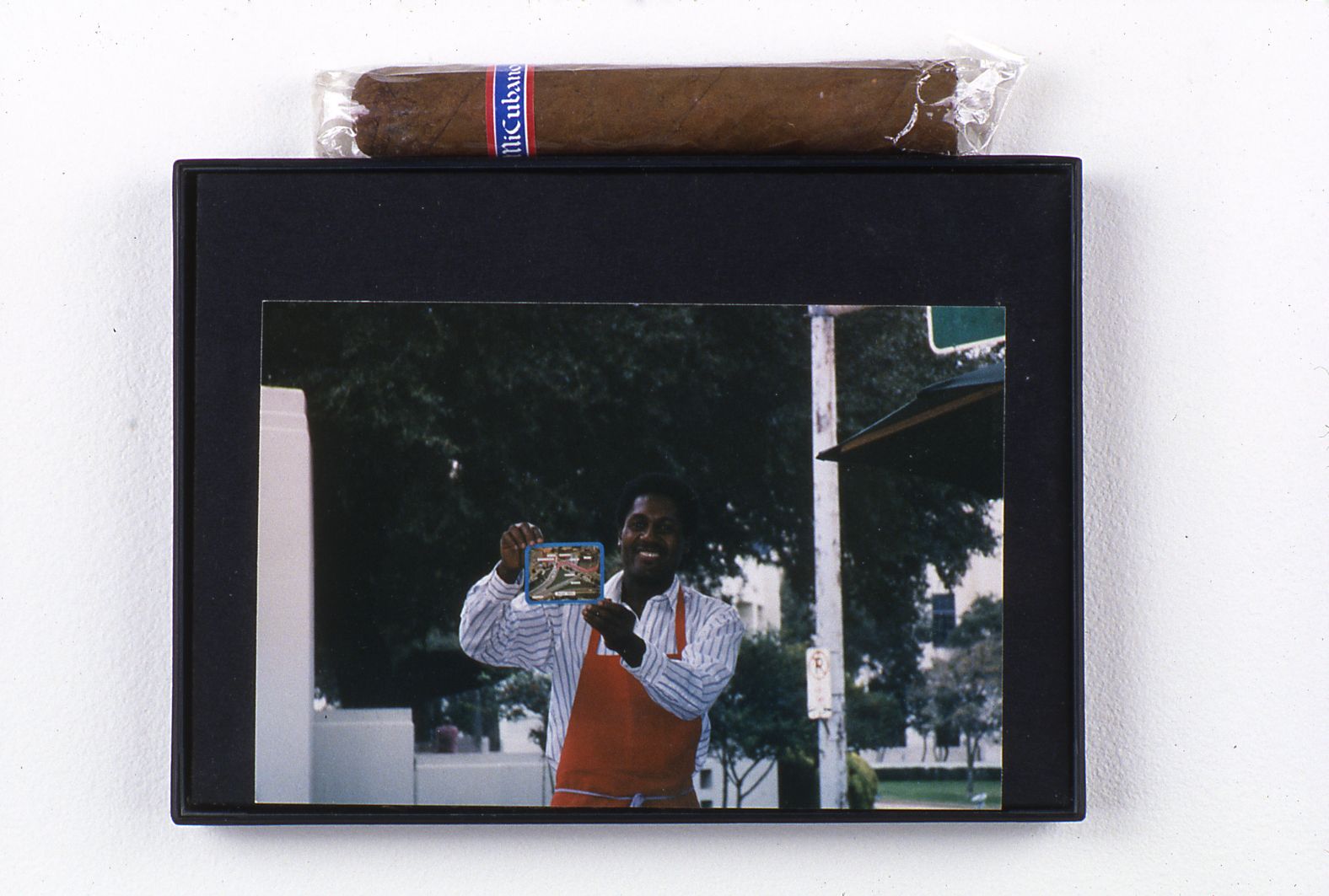 Snake in the Grass, 1997/2009 (detail)