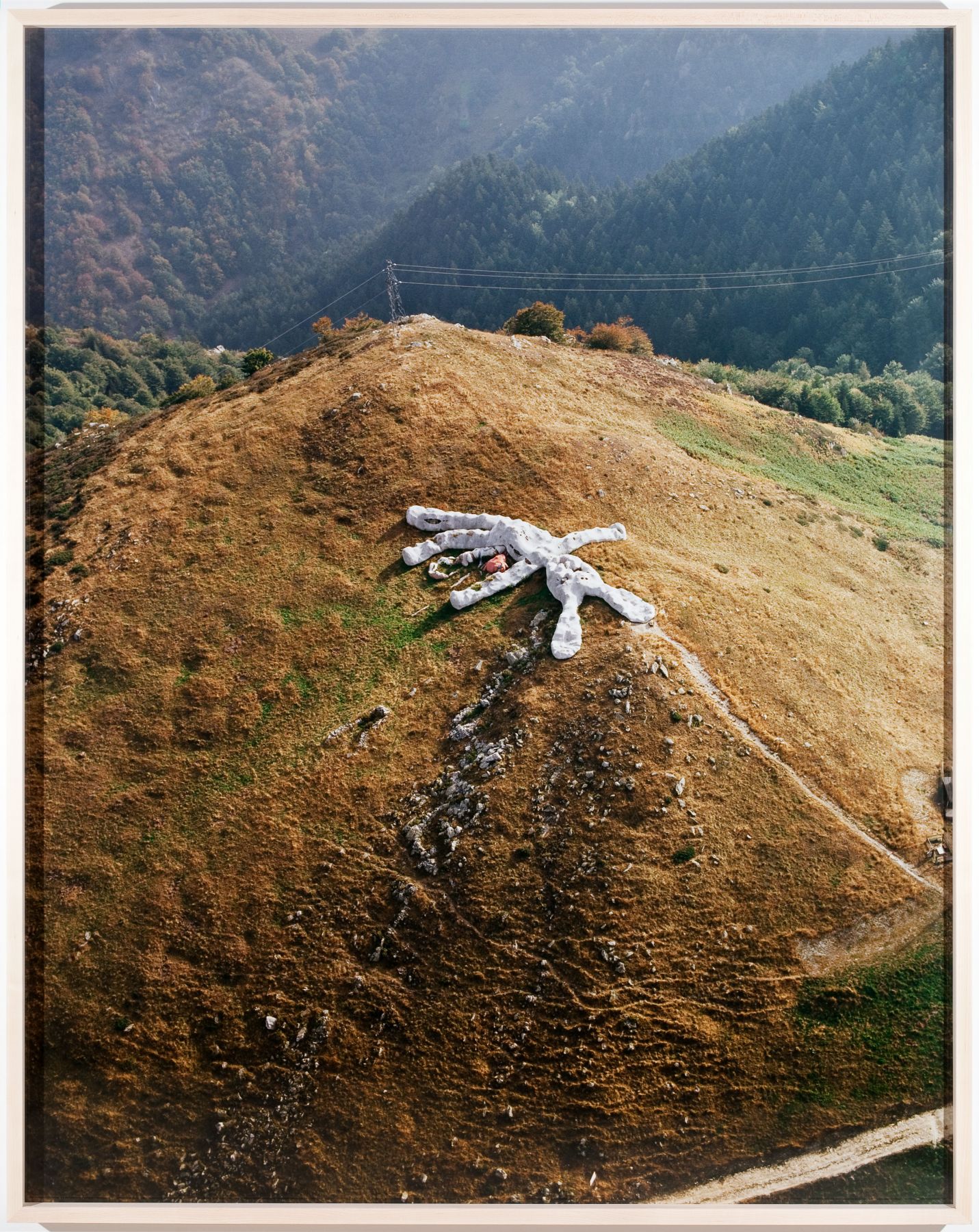 Hase, 2009, c print, 65 1/8 x 51 3/8 inches