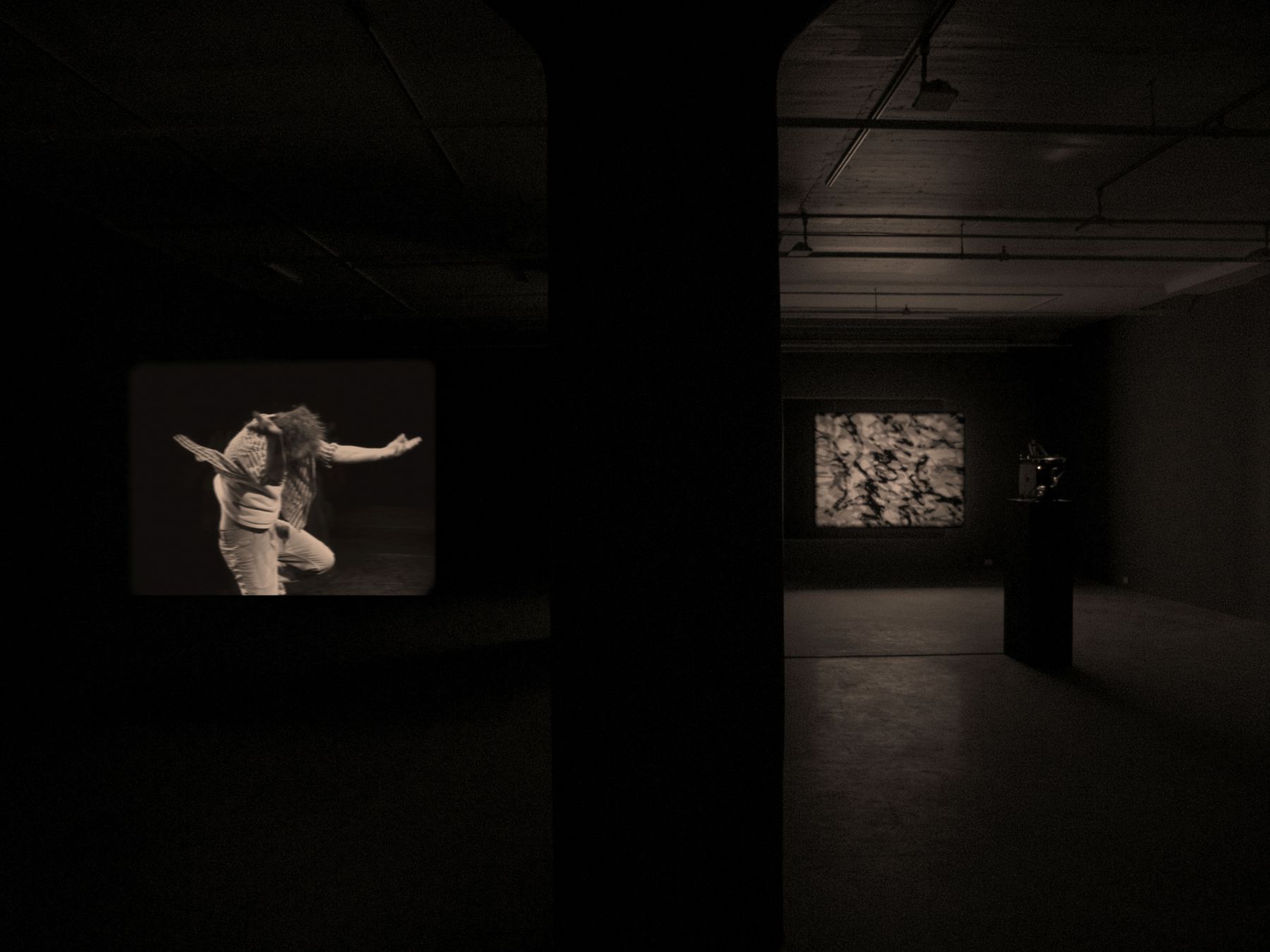 Joachim Koester, Installation view, From the Secret Garden of Sleep, Greene Naftali, New York, 2010