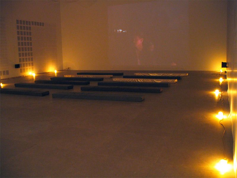 Installation view, Fia Backström, In Memory of HERD INSTINCT 360º, Greene Naftali, New York, 2006
