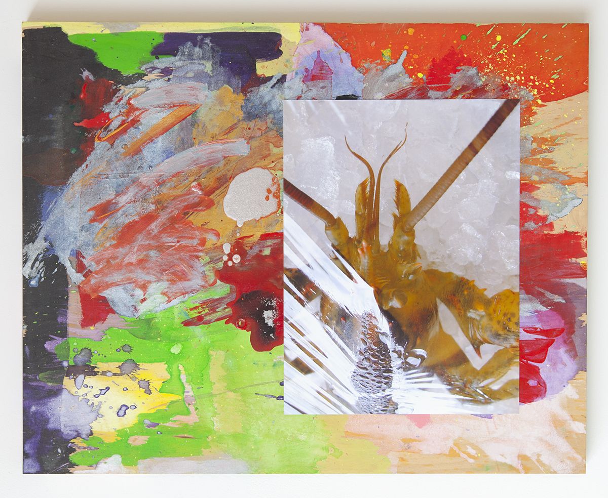 Rachel Harrison, Kellog's, 2014, Mixed media on wood panel, 24 x 30 1/8 inches (76.5 x 61 cm)