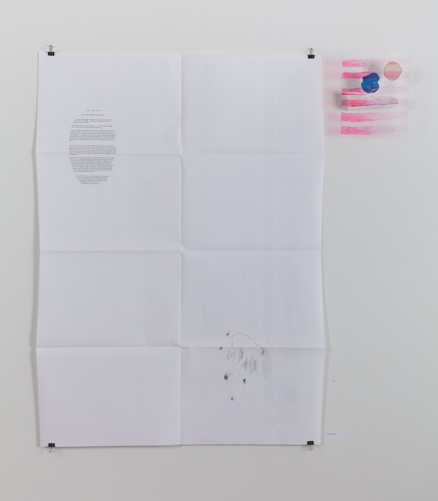 Josef Strau, Flowers Speaking, 2012, Poster and acrylic on Plexiglas, 48 x 36 inches - Poster, 14 x 11 inches - Painting