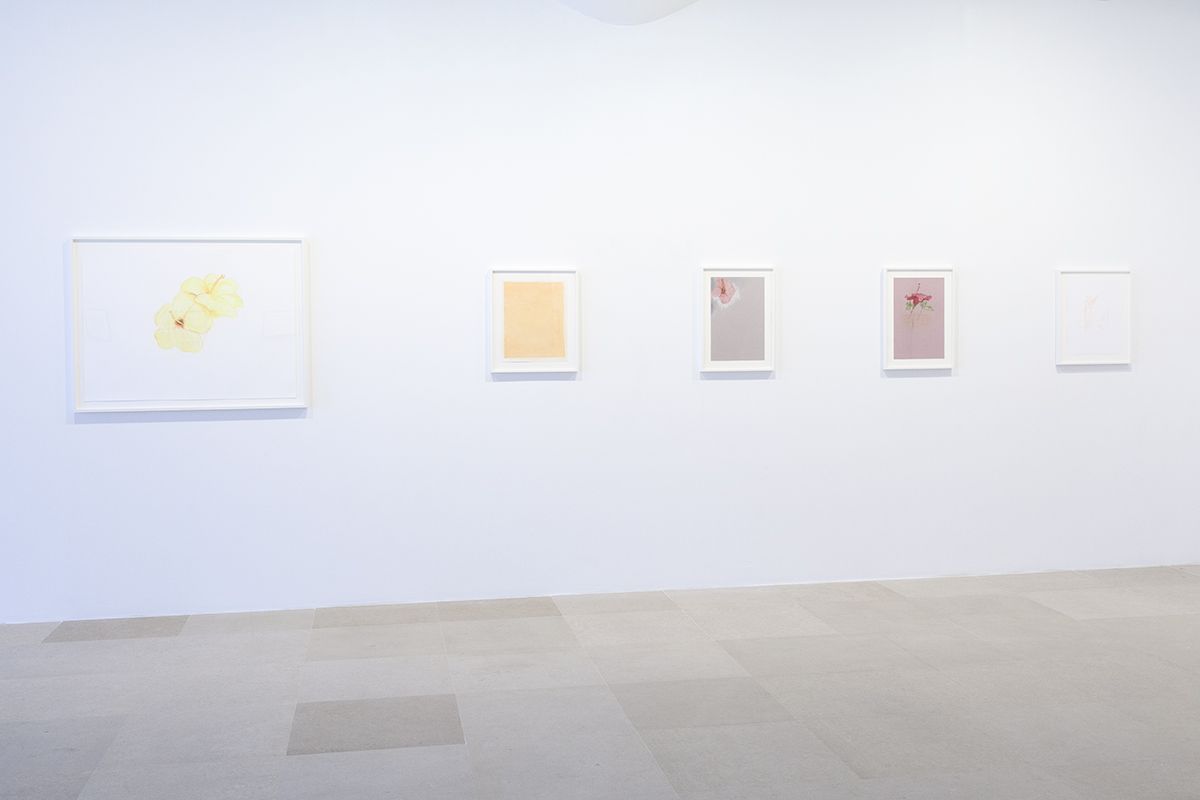 Mayo Thompson, Installation View, 8th Floor, Greene Naftali, New York, 2015