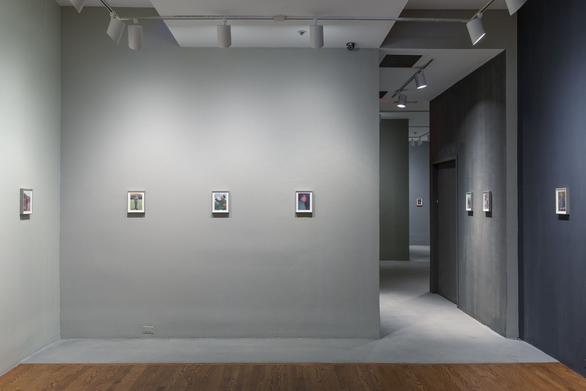 Lutz Bacher, Installation View, The Long March, 80WSE, New York, 2018 