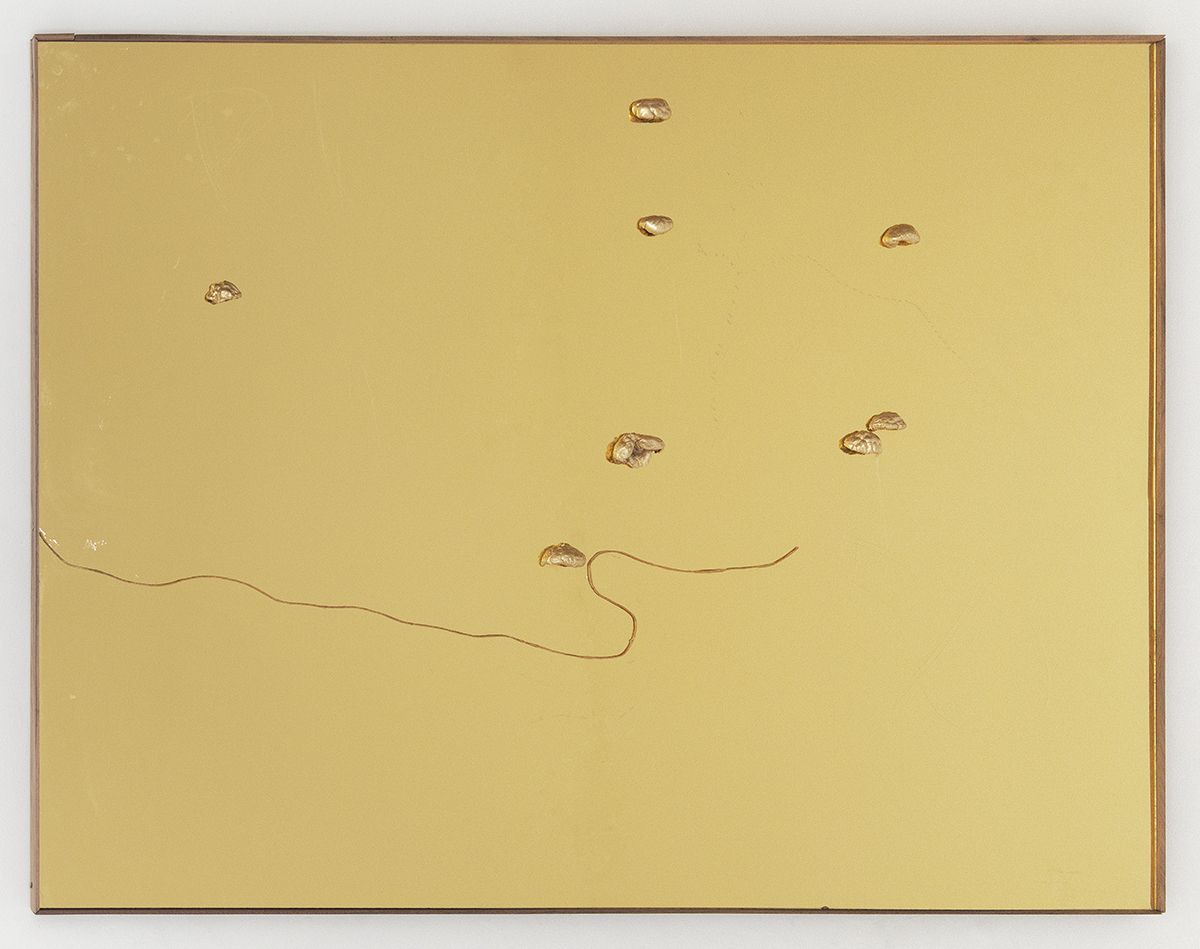Mathieu Malouf Untitled, 2016 Mushrooms, rope, Plexiglass mirror, fiberglass resin, walnut frame 42 1/2 x 54 1/2 x 1/ 1/2 inches (108 x 138.4 x 3.8 cm)