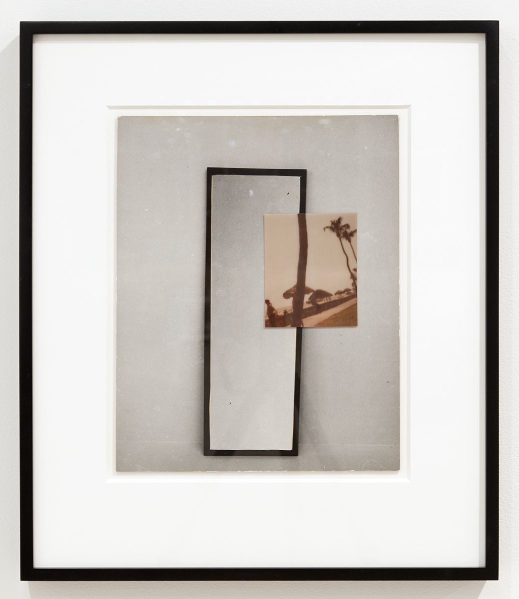 William Wegman, Window, 1979, Altered Silver Gelatin Print, Paper: 13 3/4 x 10 3/4 inches (34.9 x 27.3 cm), Frame: 21 5/8 x 18 inches (54.9 x 45.7 cm)