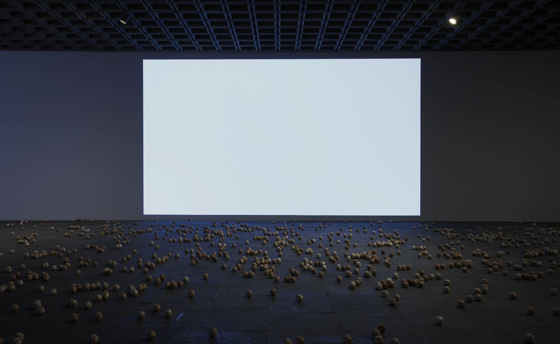 Lutz Bacher, Installation view, Whitney Biennial, 2012