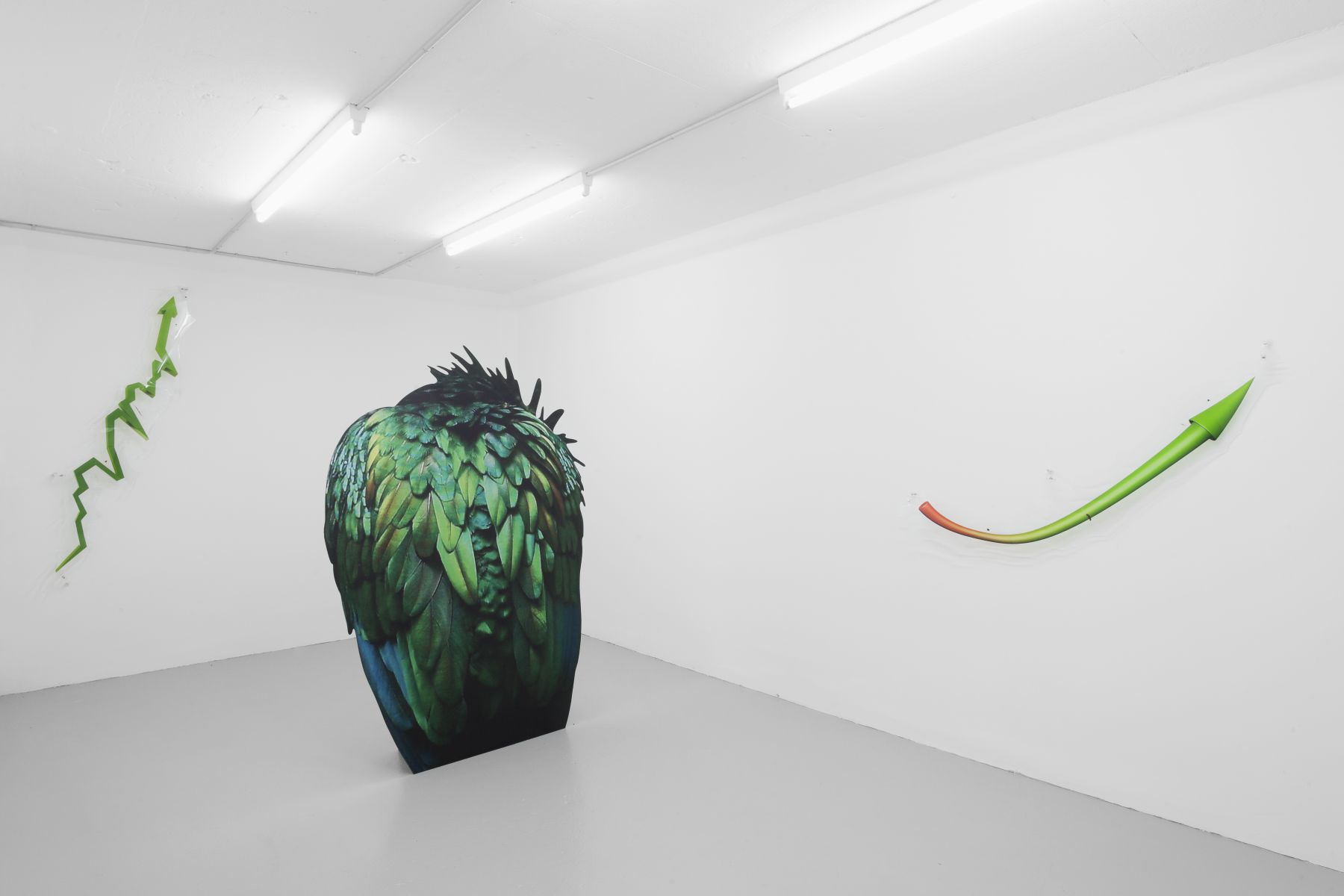 Katja Novitskova, Installation view, Green Growth, Salts, Basel, 2014