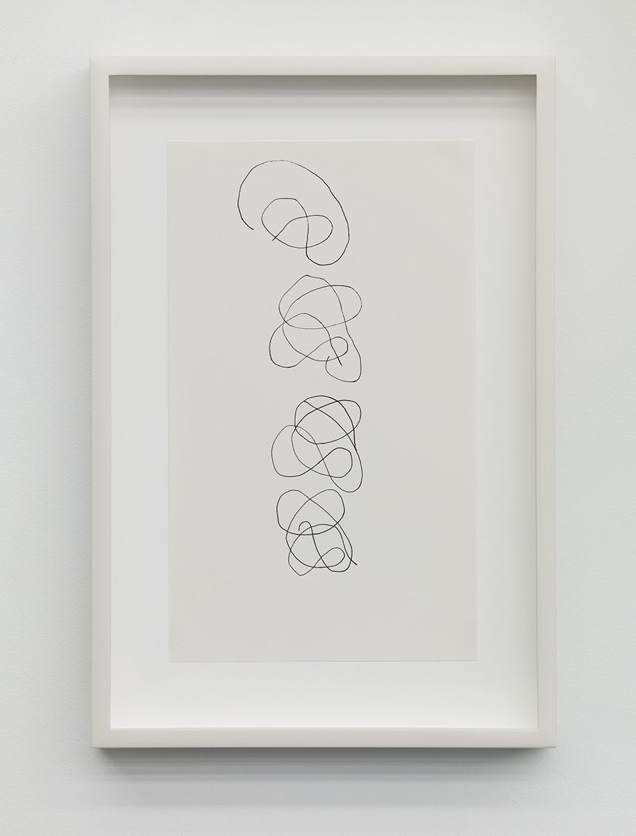 Knots, 2010