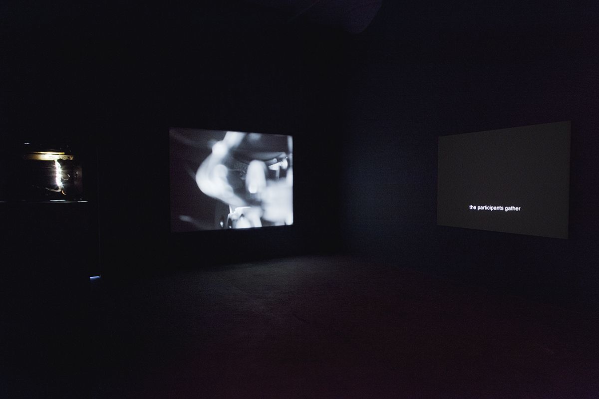 Installation view, Body Electric, Greene Naftali, New York, 2015