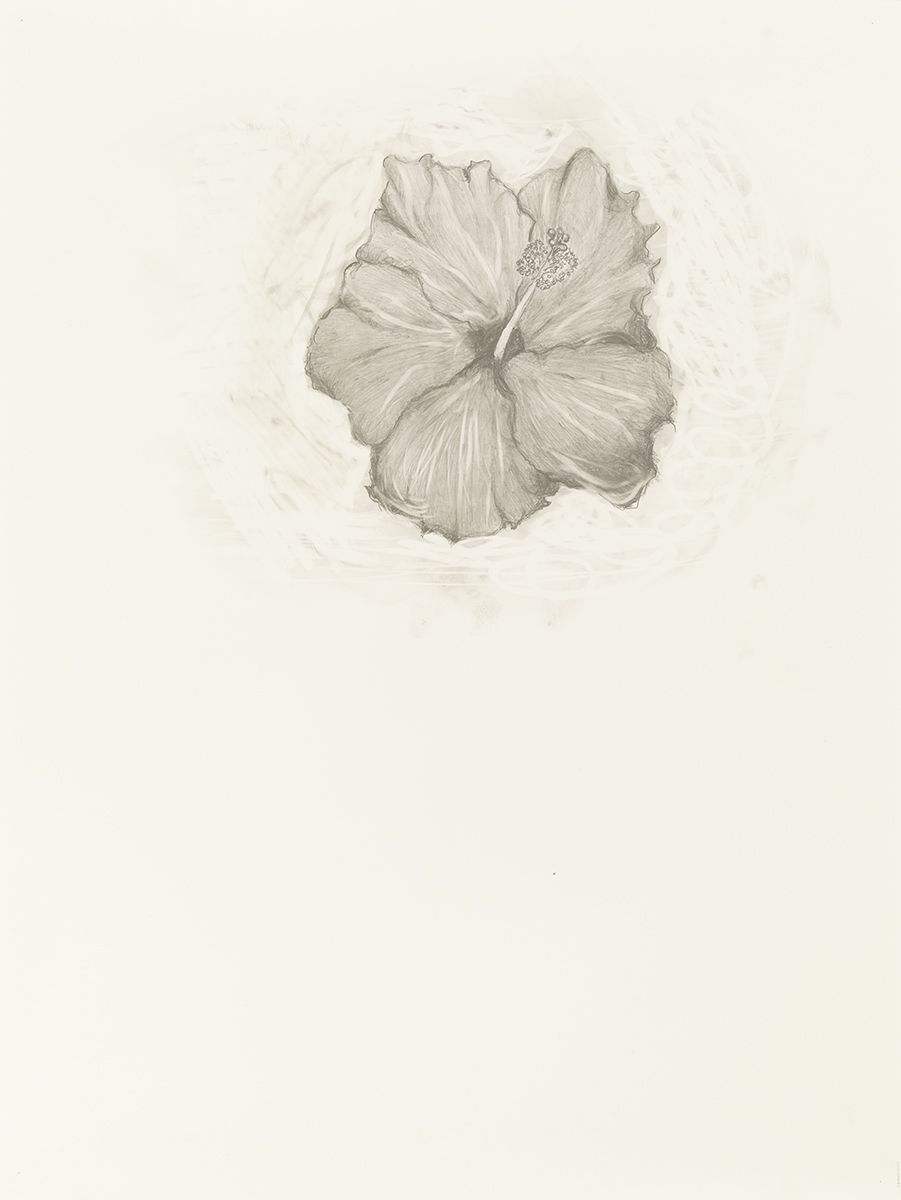 Mayo Thompson, Hibiscus, 2015