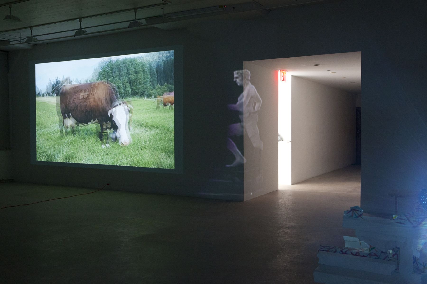 Installation view, The Biggest Circle, Greene Naftali, New York, 2012