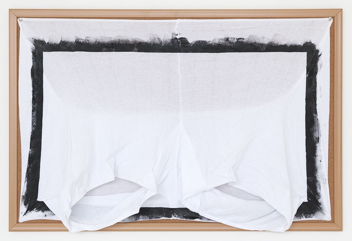 Tony Conrad Untitled (forgotten treasures), 2009 Acrylic, underwear, bulletin board 24 x 36 inches (61 x 91.4 cm)