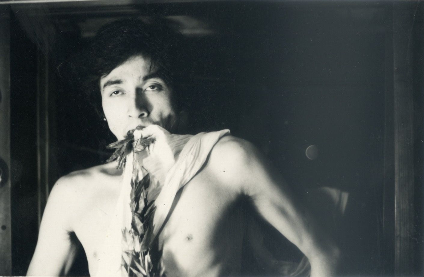 Kazuki Tomakawa, Presented by Blank Forms and Greene Naftali
