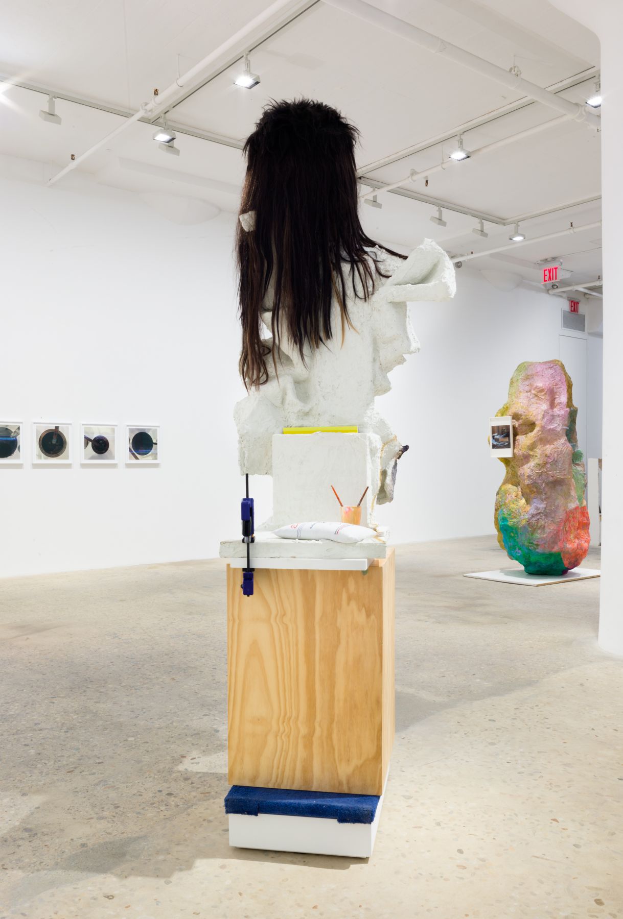Rachel Harrison, Installation view, Prasine, Greene Naftali