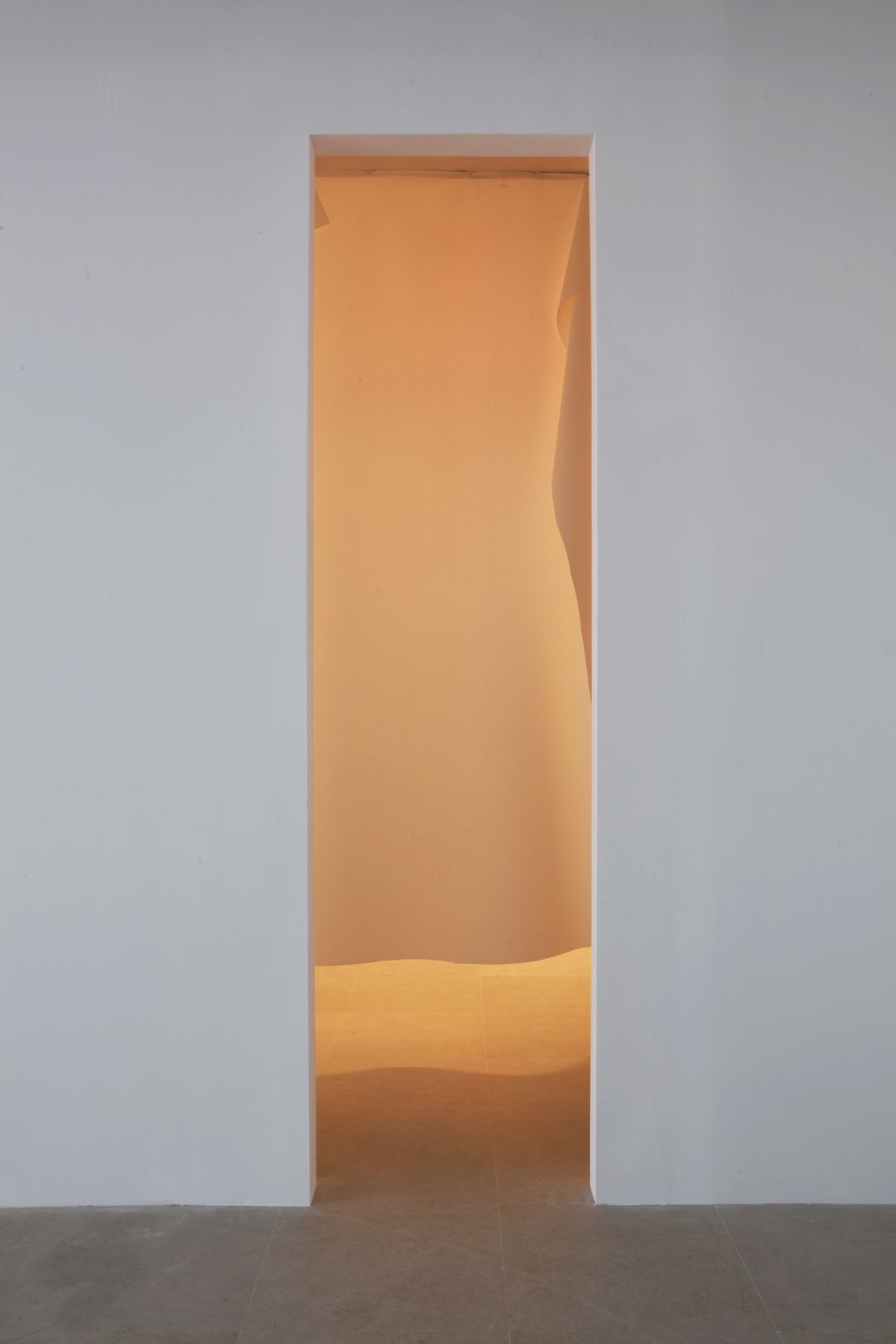 Gedi Sibony, The Brighter Grows the Lantern, 2010, vinyl, nails, and light, dimensions variable