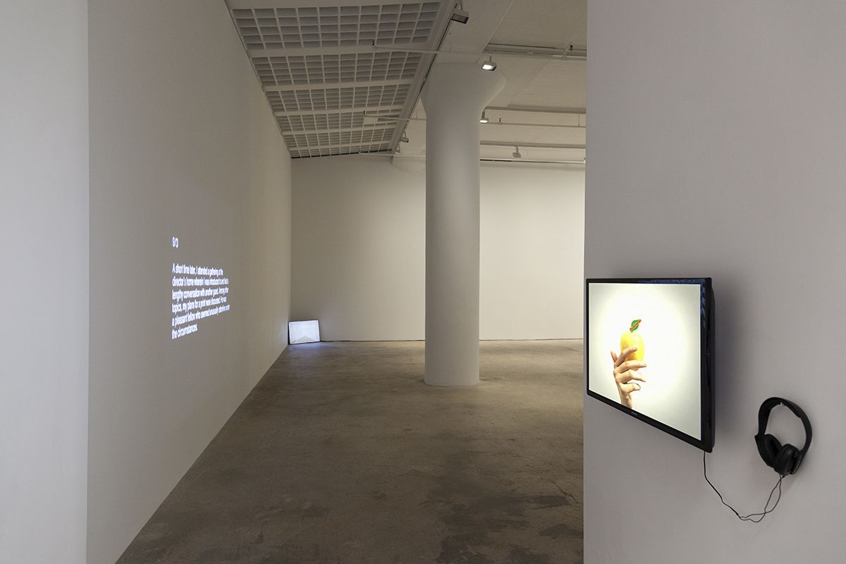John Knight, Installation view, in situ, Greene Naftali, New York, 2015