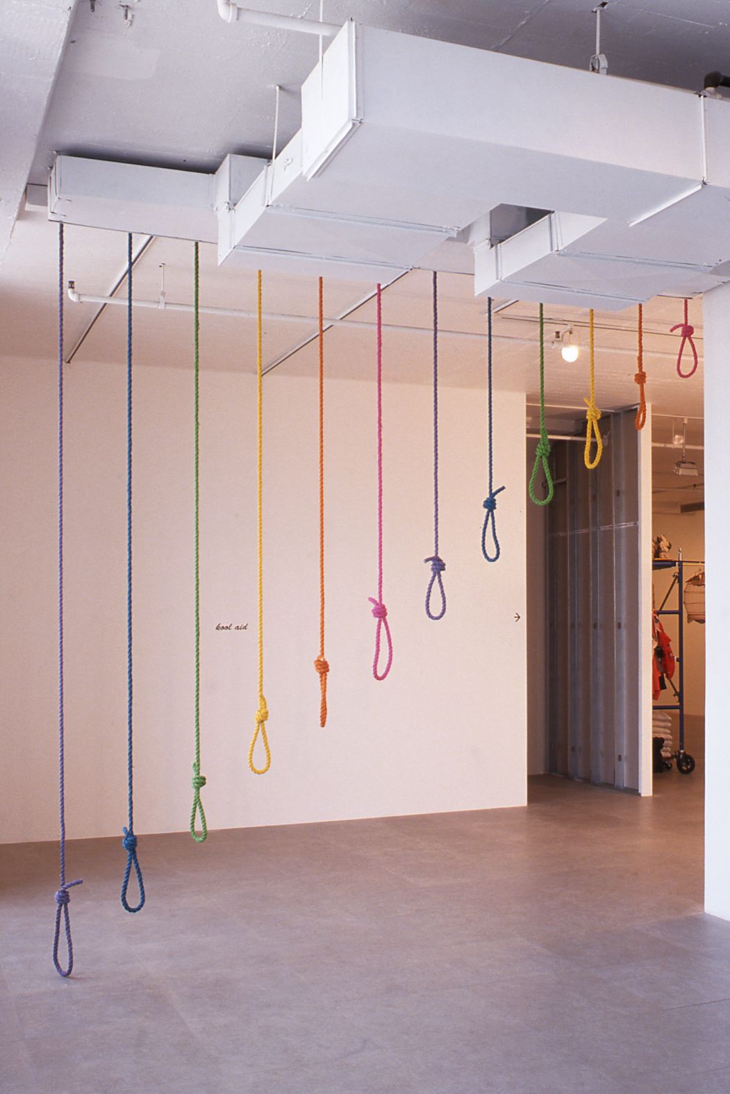 Amy Gartrell, Untitled (Rainbow Nooses), 2000, rope, fluorescent dye, wood, 126 x 144 x 4 inches