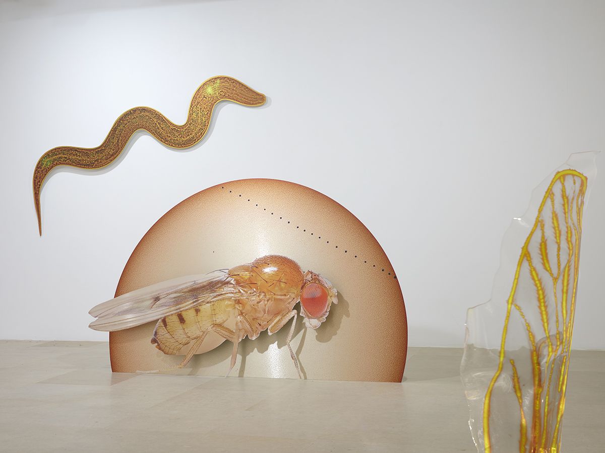 Katja Novitskova, Installation view, Approximation (Storm Time), Greene Naftali, New York, 2016