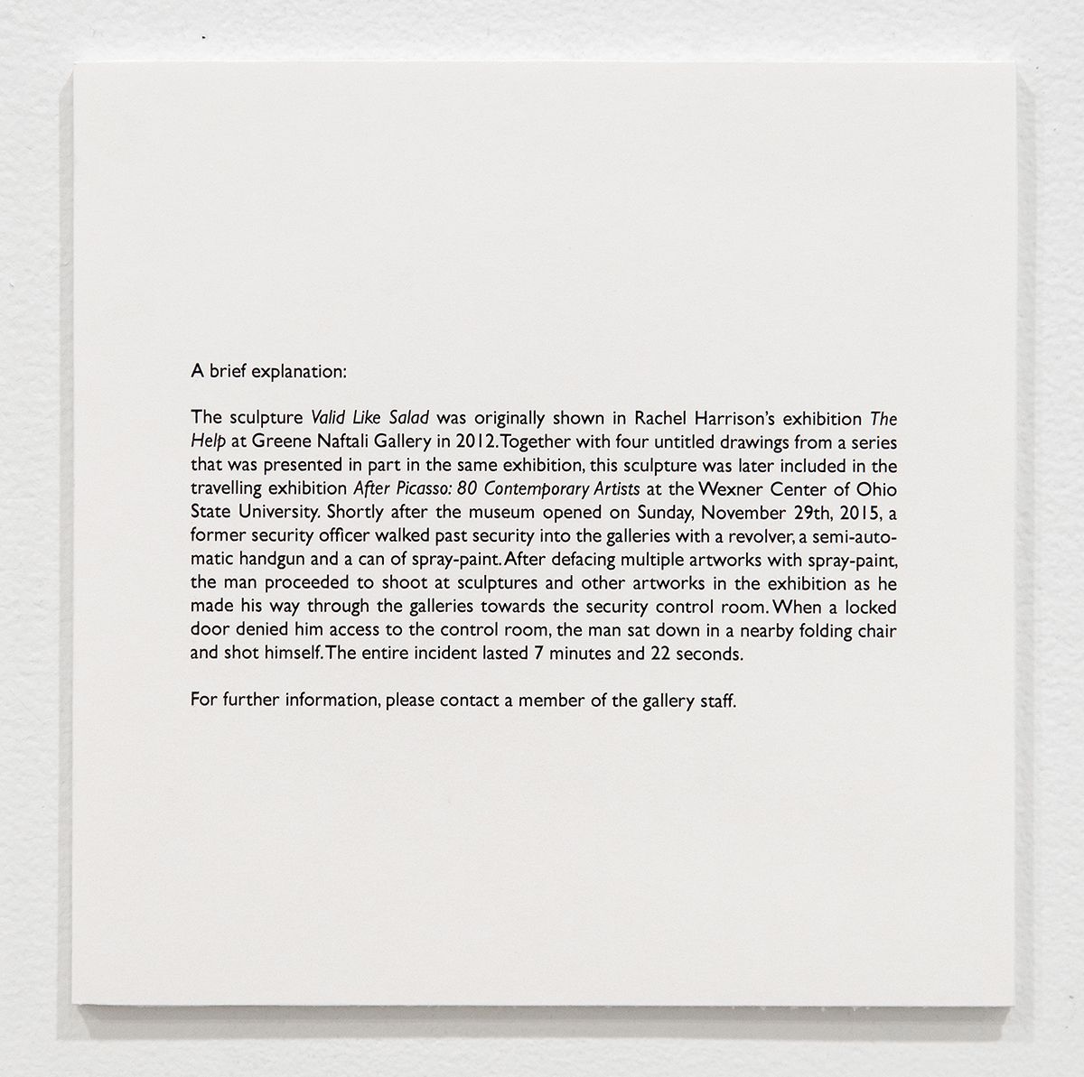 Rachel Harrison, Installation view, More News: A Situation, Greene Naftali, New York, 2016