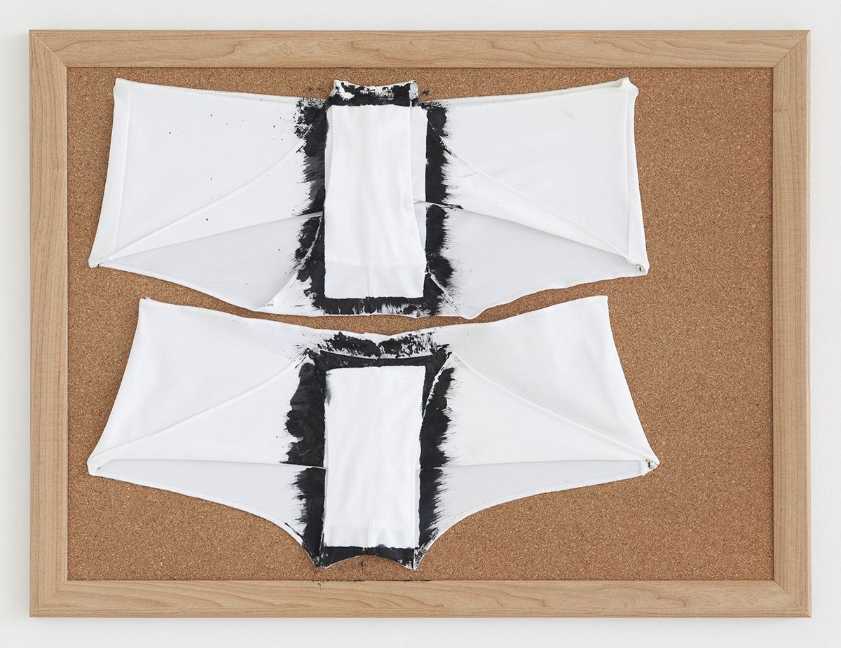 Tony Conrad Untitled (alphabetical circumstances), 2009 Acrylic, underwear, bulletin board 18 x 24 inches (45.7 x 61 cm)