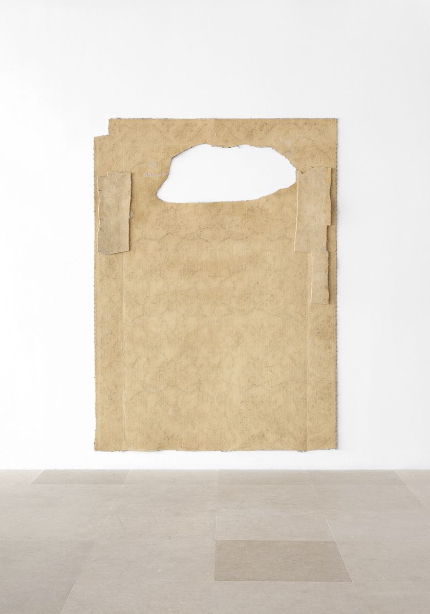 Gedi Sibony, The Flounder, 2013, Carpet, 92 x 67 inches