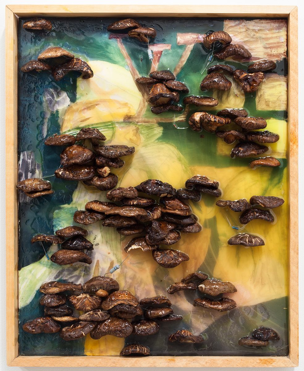 Mathieu Malouf I.D.G.A.F., 2012 Watercolor, oil, electrical resistors, mushrooms, epoxy resin on canvas and artist's frame 20 7/8 x 17 x 2 inches (53 x 43.2 x 5.1 cm)