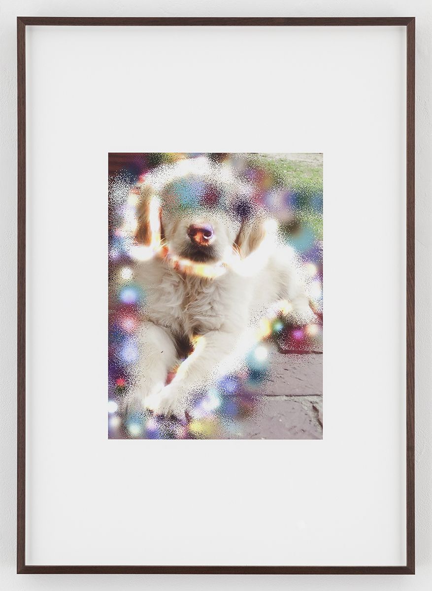 Hilary Lloyd Sphinx Dog, 2017 Archival pigment print Framed: 33 3/4 x 24 x 1 7/8 inches (85.7 x 61 x 4.8 cm) Unique