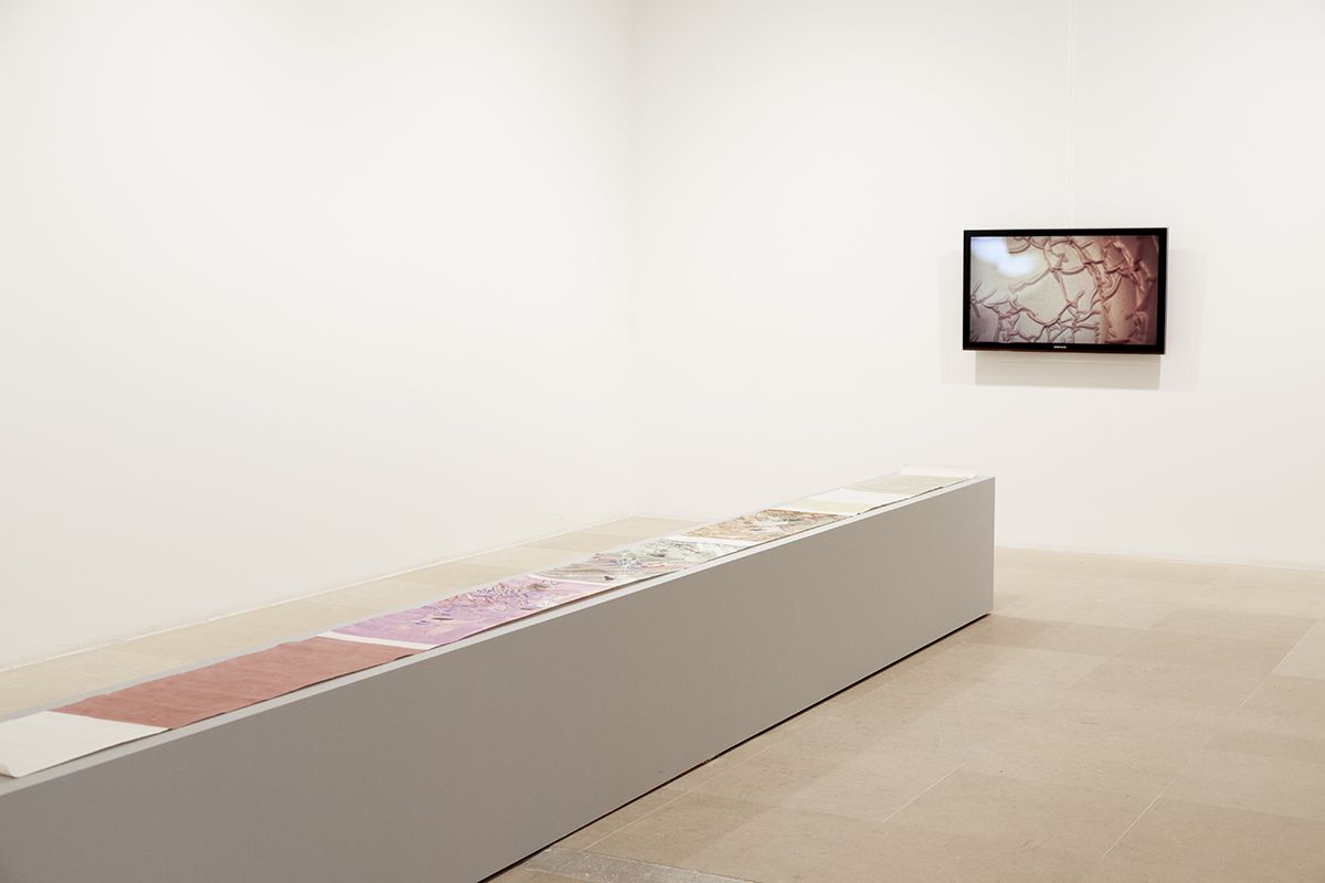 Installation View, Greene Naftali, New York, 2015